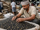 Black Gram Holds Firm as Monsoon Delays and Rupee Weakness Tighten Supply