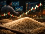 Indian Basmati Rice Rallies as 1509 Paddy Tightens in Punjab–Haryana