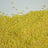Millet kernels — hulled, yellow