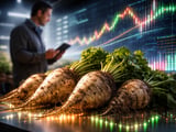 Sugar Beet Market: Flat ICE Curve, Firm EU Beet Returns