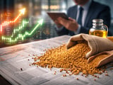 Indian Mustard Market Holds Steady as Rabi Sowing Signals Take Shape