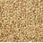 Lentils dried — small, green