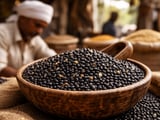 India’s Black Gram Market Tightens as New Crop Disappoints