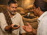 Indian Black Pepper Holds Firm as Sri Lankan Arrivals Test Support
