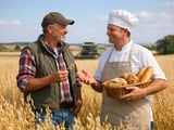 Oat futures edge higher as CBOT market firms and EU feed bids stabilise