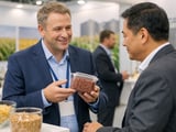 Flat Sorghum Prices in Odesa as Export Flows Track Corn and Wheat Trends