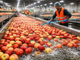 Kashmir apples: storage boom, weak fresh prices and rising quality risks