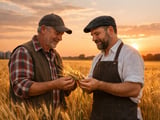 Barley Market Holds Steady as Wheat Weakness Caps Upside