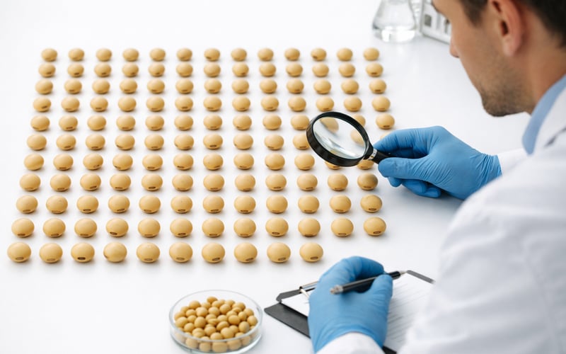Soybeans under pressure as U.S. weather improves and oilseed complex diverges