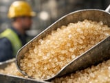 Baltic Sugar Prices Edge Higher as London Futures Hold Above €480