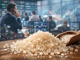 Baltic Sugar Prices Hold Firm as Global Futures Steady After Hormuz Deal