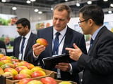 Disease Pressure in Australia Tightens Mango Market Risk Outlook