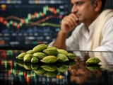 Indian Cardamom Holds in a Tight Range as Monsoon Watch Begins