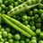 Peas dried