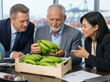 Russia’s First Greenhouse Bananas: Small Crop, Big Signal for the Market