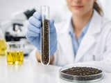 Ukrainian Rapeseed Eases as New-Crop Demand Builds and MATIF Softens