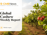 Cashew Market: Cautious Demand, Weak RCN, but W240 Holds Firm