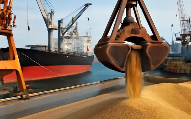 Ukrainian barley holds steady as FOB softens slightly in Odesa