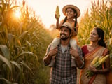 Indian Corn FOB New Delhi Firms on Weather Risk and Tight Global Balance