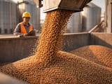 China Buckwheat: High New-Crop Costs, Firm Imports and Stable Demand