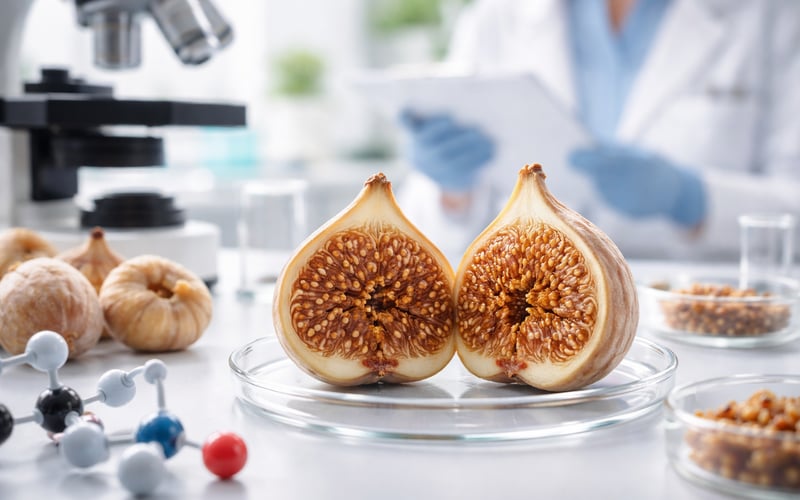 Turkish Dried Figs: Quality Up, Sentiment Soft as Market Waits for TMO