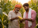 Indian Kharif Corn Shortfall Tightens Feed Markets as Global Prices Stay Mixed