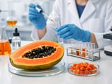 Stable Dried Papaya Prices as Vietnam Export Demand Strengthens