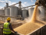 Oats Track Wheat-Led Selloff as Black Sea Talk Eases War Risk Premium
