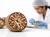 Nutmeg edges higher in Delhi as demand picks up but remains need-based