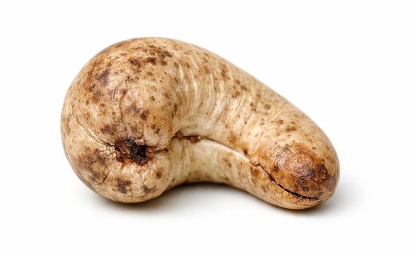 Vietnam’s Raw-Cashew Buying Spree Tightens Global Kernel Market
