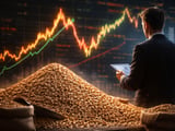 Oats rally on CBOT while physical prices stay flat amid Black Sea tensions
