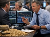 Barley Market: Flat SFE Curve Meets Soft Black Sea Bids