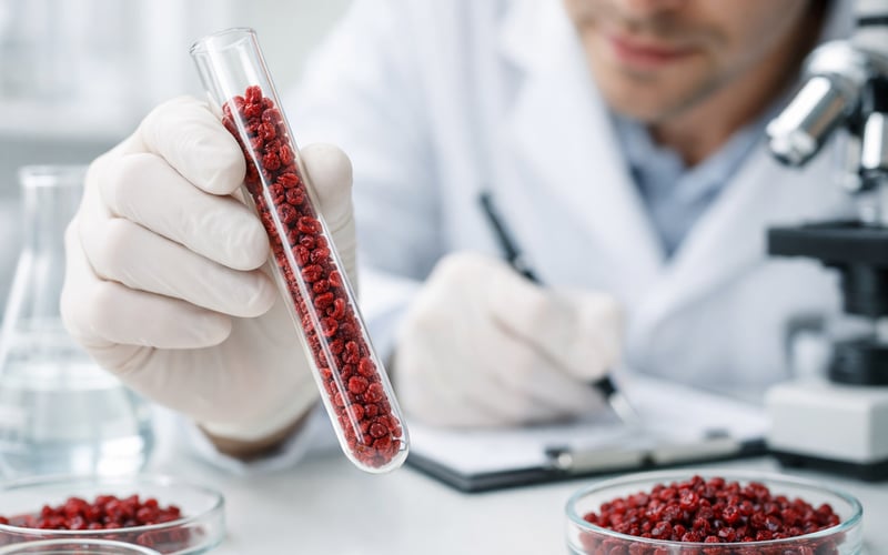Barberries Market: Stable Iranian Prices Meet Rising Regional Berry Trade