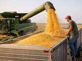 Corn markets pause as weather risks meet comfortable near-term supply
