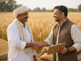 Wheat Softens in Delhi While Global Futures Stay Firm