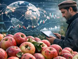 Hailstorms Slash Kashmir’s Apple Crop and Raise Climate-Risk Premiums