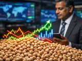 Chickpeas: Firm Indian Market as Costly Imports Cap Downside