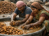 Indian Turmeric Holds Firm as Nizamabad Spot Softens Slightly