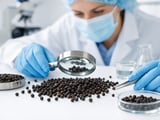 Black Pepper Holds Firm as Indian Crop Shrinks but Imports Cap Upside