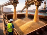 Rice Market Steadies as Asian FOB Values Ease from Highs