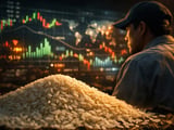 Les prix du riz indien et vietnamien restent stables malgré des moussons irrégulières