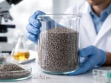 Poppy Seeds: Stable Prices with Limited Downside as Demand Holds Stocks