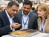 Indian Mustard Market Firms as Oil Complex Tracks Palm and Domestic Demand