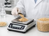 Chinese Pine Nut FOB Prices Hold Steady Amid Quiet Trade and Stable Supply