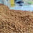 Fenugreek seeds