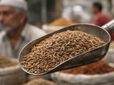 Cumin Under Pressure as China Steps Back and West Asia Stays Uncertain