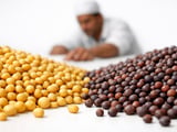 Indian Mustard Firms on Mill Demand Despite Surging Arrivals