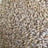 Barley seeds — feed grade, moisture: 14 % max