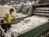 Softening Cottonseed Oil Market Meets Early North India Cotton Arrivals