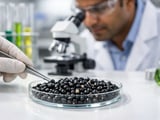 Indian Black Gram Rally Driven by Mills While Imports and New Crop Cap Upside